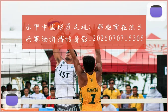 法甲中国球员足迹:那些曾在法兰西赛场拼搏的身影_20260707153050