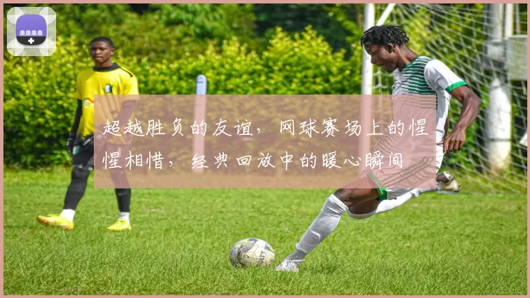 超越胜负的友谊,网球赛场上的惺惺相惜,经典回放中的暖心瞬间