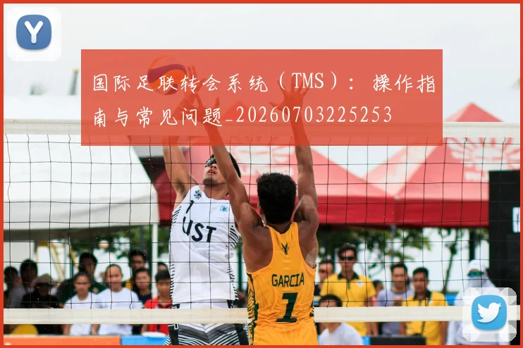 国际足联转会系统(TMS):操作指南与常见问题_20260703225253