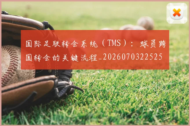 国际足联转会系统(TMS):球员跨国转会的关键流程_20260703225254