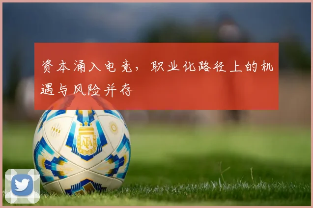 资本涌入电竞,职业化路径上的机遇与风险并存